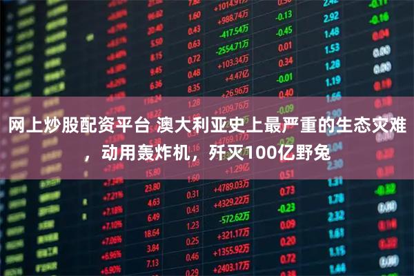 网上炒股配资平台 澳大利亚史上最严重的生态灾难，动用轰炸机，歼灭100亿野兔